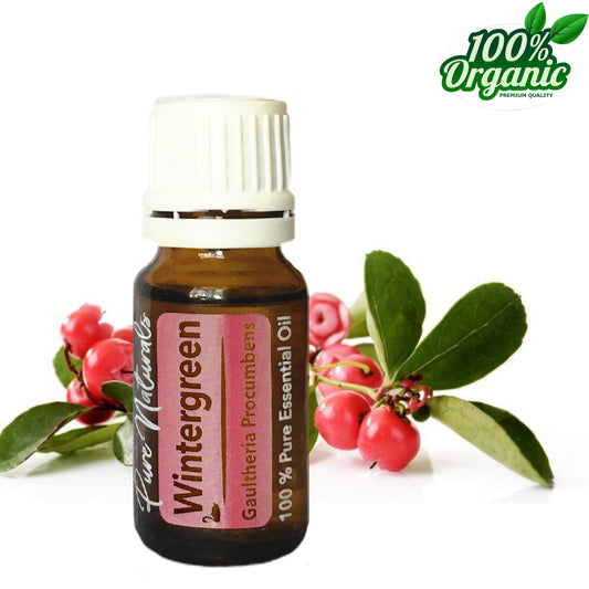 Wintergreen - Wintergroen BIO - 10ml